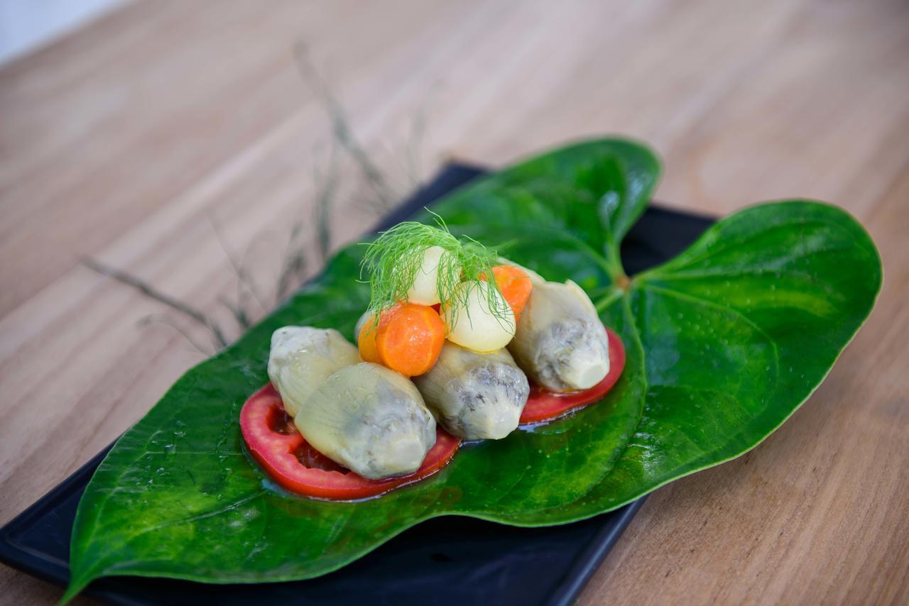 The Lifeco Antalya Well-Being Detox Center And Vegan Hotel 외부 사진