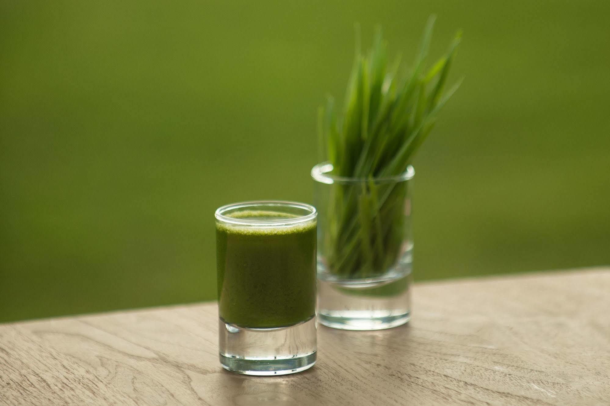 The Lifeco Antalya Well-Being Detox Center And Vegan Hotel 외부 사진